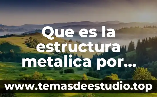 Que es la estructura metalica por diagonal san antonio