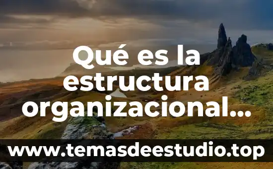 Que es el significado en la psicologia organizacional 4 Qué es la estructura organizacional centralizada