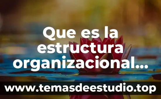 Que es la estructura organizacional en educacion