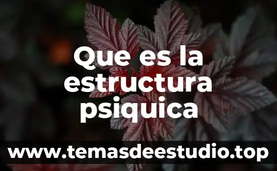 Que es estructura rigida inexistente 5 Que es la estructura psiquica