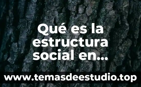 Qué es producción social concepto 8 Qué es la estructura social en México