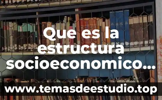 Que es la estructura socioeconomico en tabasco