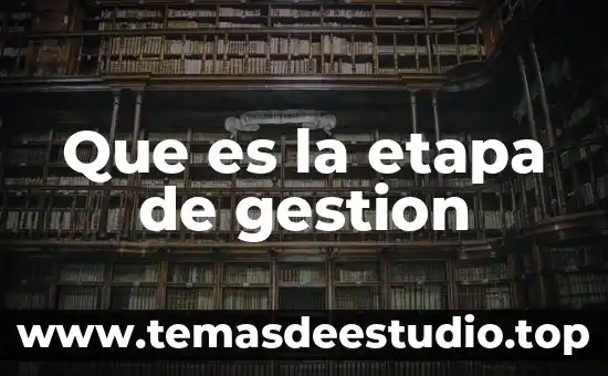 Que es la etapa de gestion