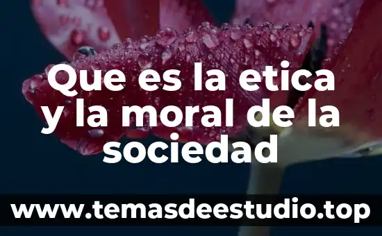 Que es la alineacion de objetos en corel draw 4 Que es la etica y la moral de la sociedad