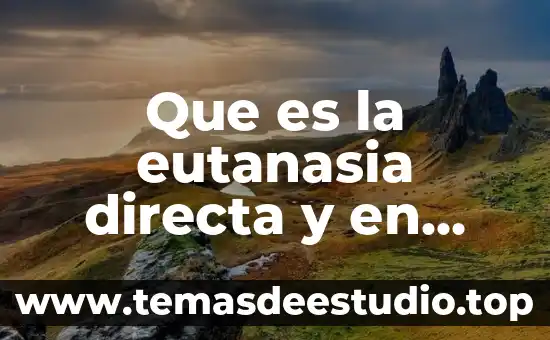 Inversión directa en México que es 3 Que es la eutanasia directa y en que consiste