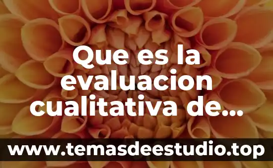 Que es la entrevista en la investigacion cualitativa 2016 5 Que es la evaluacion cualitativa de financiamiento