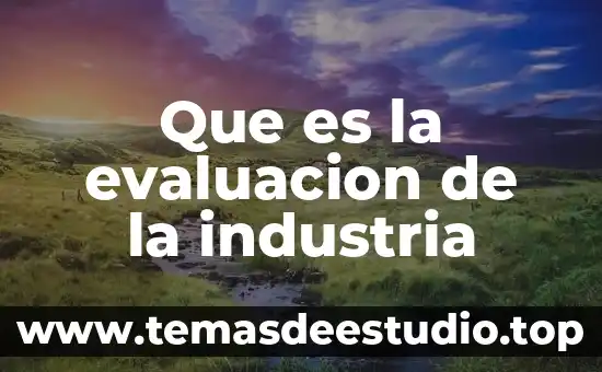 Que es evaluación libros 7 Que es la evaluacion de la industria