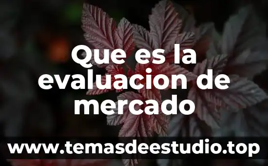 Que es delimitar el mercado 7 Que es la evaluacion de mercado