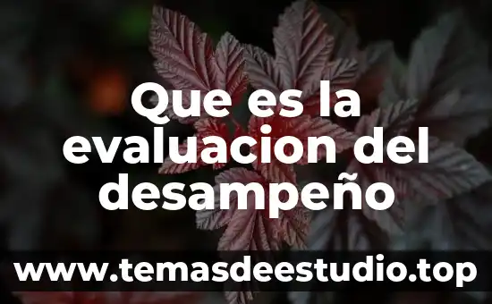 Que es ser chef 5 Que es la evaluacion del desampeño
