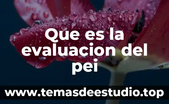 Que es una evaluacion para umas 5 Que es la evaluacion del pei