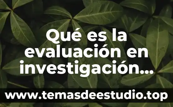 Que es plano carteciono 4 Qué es la evaluación en investigación de campo