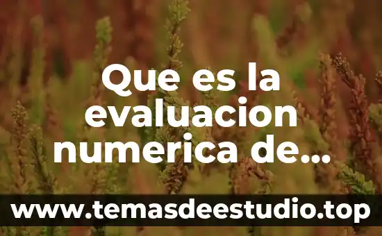 Que es corresponsabilidad ente representacion numerica y grafica 3 Que es la evaluacion numerica de expresiones algebraica