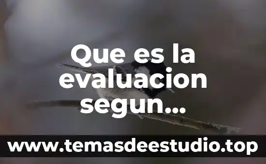 Qué es expresión con diferentes autores 8 Que es la evaluacion segun diferentes autores