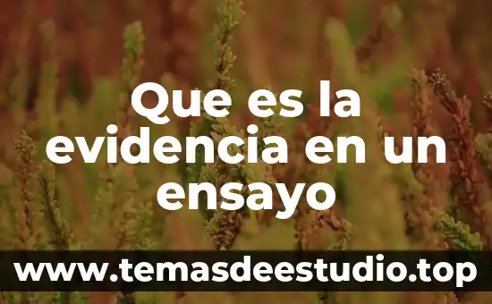 Que es un ensayo de un texto 5 Que es la evidencia en un ensayo