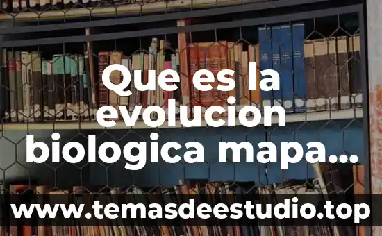Que es nombre de celda en excel 8 Que es la evolucion biologica mapa conceptual