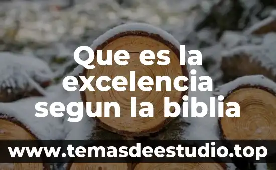 Que es preactivista según ackoff 7 Que es la excelencia segun la biblia