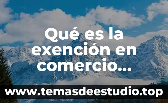 Qué es la exención en comercio exterior