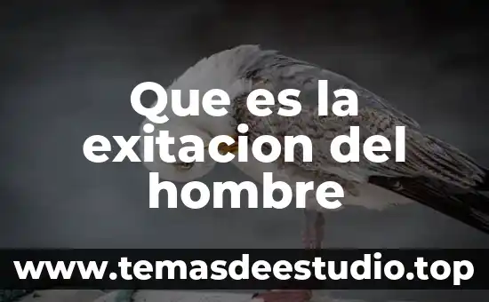 Que es la exitacion del hombre