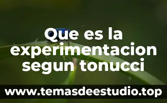 Que es la experimentacion segun tonucci