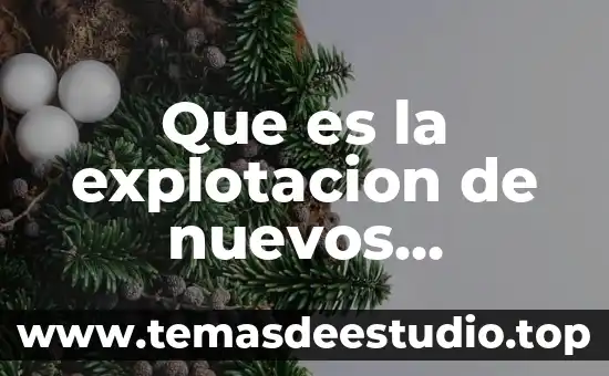 Qué es una hipótesis en investigación de mercados 3 Que es la explotacion de nuevos mercados