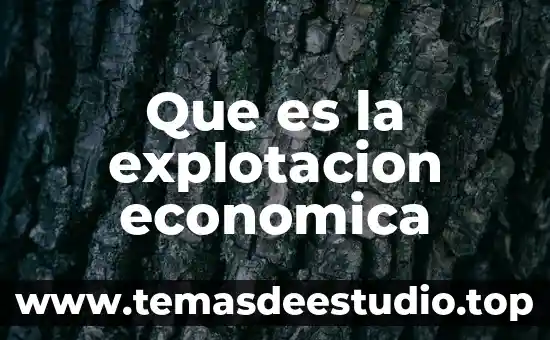 Doctrina económica que es 8 Que es la explotacion economica