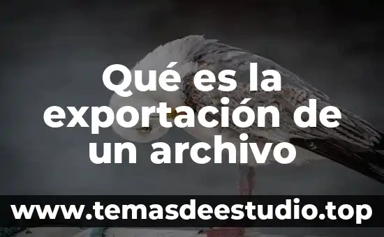 Qué es cambiar el nombre a una carpeta a archivo 6 Qué es la exportación de un archivo
