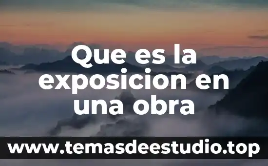Que es una obra indusida 5 Que es la exposicion en una obra