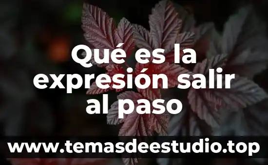 Qué es la expresión salir al paso
