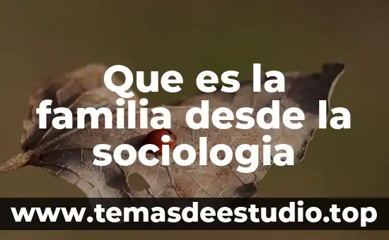 Que es sociologia y como se relaciona con una empresa 8 Que es la familia desde la sociologia