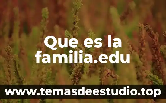 Abstracción verbal que es 4 Que es la familia.edu