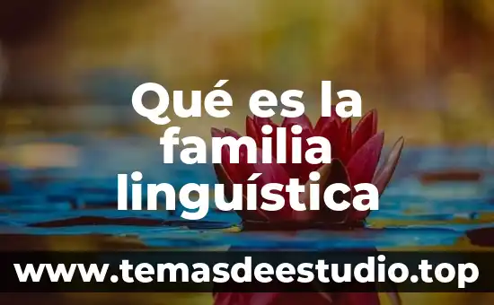 Que es la diversidad lingüística y cultural delos pueblos hispanohablantes 4 Qué es la familia linguística