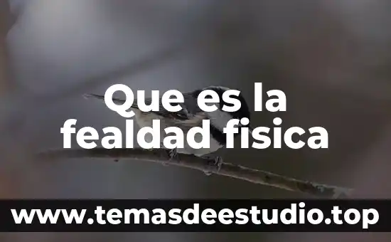 Que es la fealdad fisica