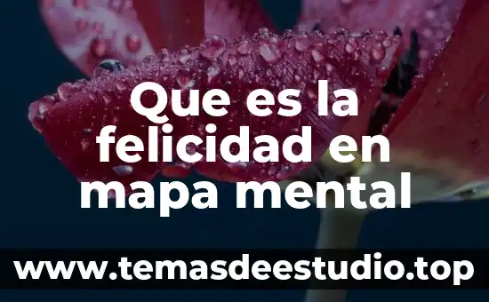 Que es representacion mental concepto 7 Que es la felicidad en mapa mental