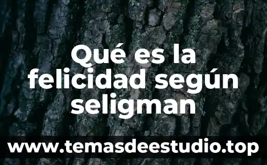 Qué es la felicidad según seligman