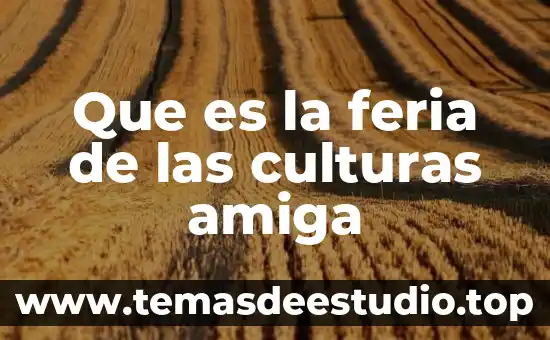 Por que es importante ampliar el conocimiento sobre las culturas 6 Que es la feria de las culturas amiga
