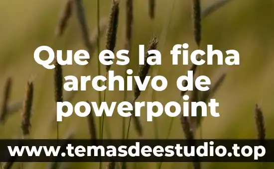 Que es una definición ficha digital 8 Que es la ficha archivo de powerpoint