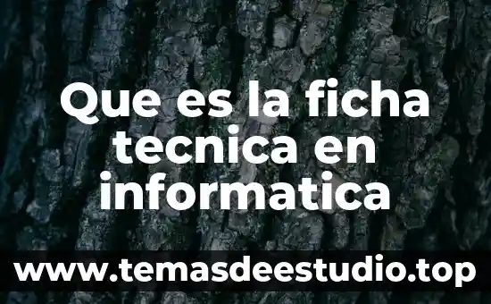 Que es figura en psicologia 5 Que es la ficha tecnica en informatica