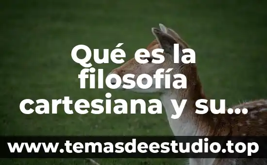 Según la filosofía qué es la realidad 8 Qué es la filosofía cartesiana y su duda