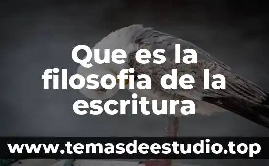 Qué es osado en filosofía 6 Que es la filosofia de la escritura