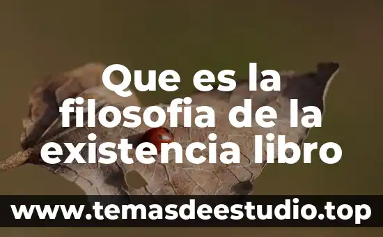 Que es la filosofia de la existencia libro