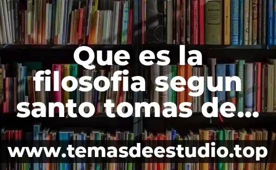 Para Santo Tomás qué es el concepto de la felicidad 3 Que es la filosofia segun santo tomas de aquino