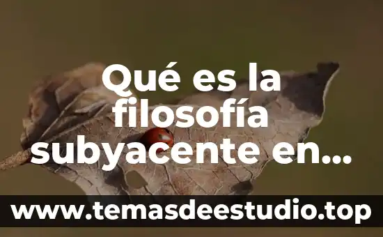 Viuda negra sexo que es 8 Qué es la filosofía subyacente en Juana de Arco