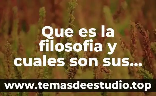 Que es la filosofia y cuales son sus caracteristicas