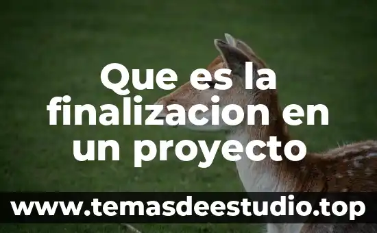 Que es la finalizacion en un proyecto