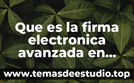 Que es la disolucion del vinculo matrimonial mexico 5 Que es la firma electronica avanzada en mexico