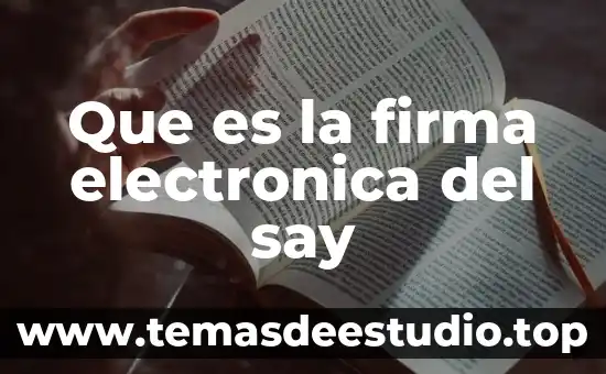 Que es una firma de definicion seguridad informatica 8 Que es la firma electronica del say