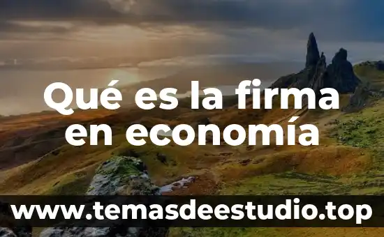 Que es una meta en economia 3 Qué es la firma en economía