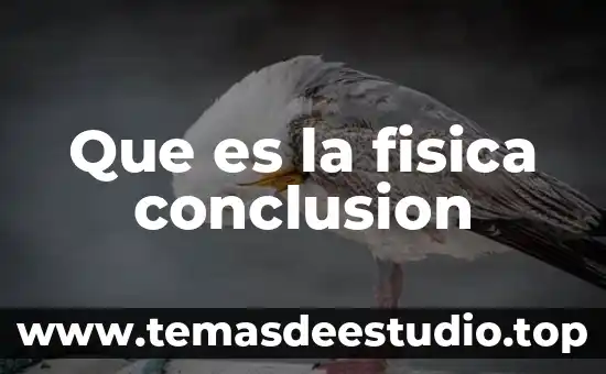 Que es la fisica conclusion