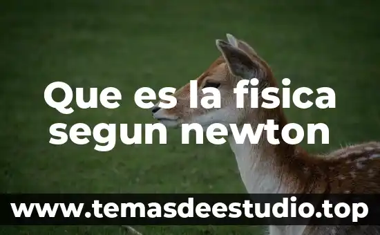 Que es el calculo segun newton 3 Que es la fisica segun newton