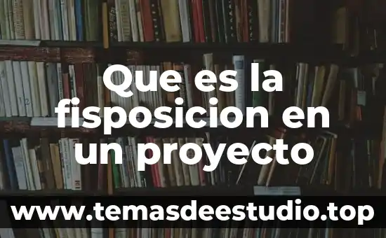 Que es un proyecto rtesanal 4 Que es la fisposicion en un proyecto